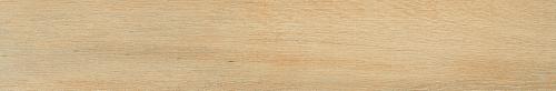 Korzilius, Modern, Modern Birch gold MAT Керамогранит 89,8х14,8