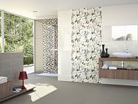 Minim, Ape Minim, Ape