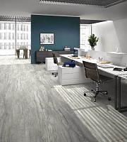 Horizon, Ariana Horizon, Ariana